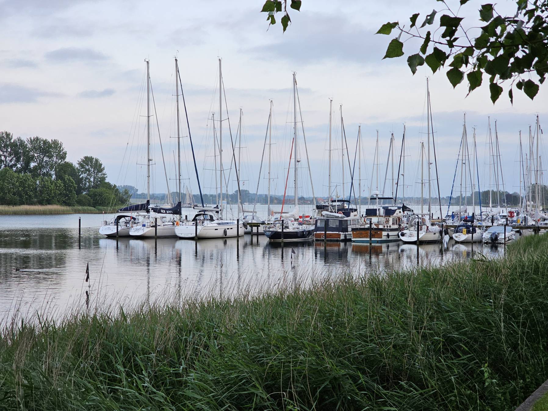 Denmark 2024 day 1_407E8229-941D-4A24-BB91-CBBD60B5E7F9