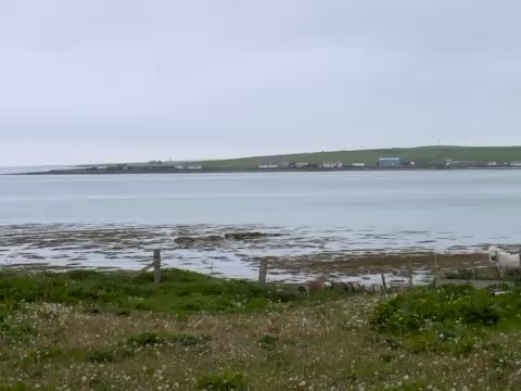 Wick to Pierowall_E8B73650-EAAA-4CD8-A7FE-C68CEC80562D