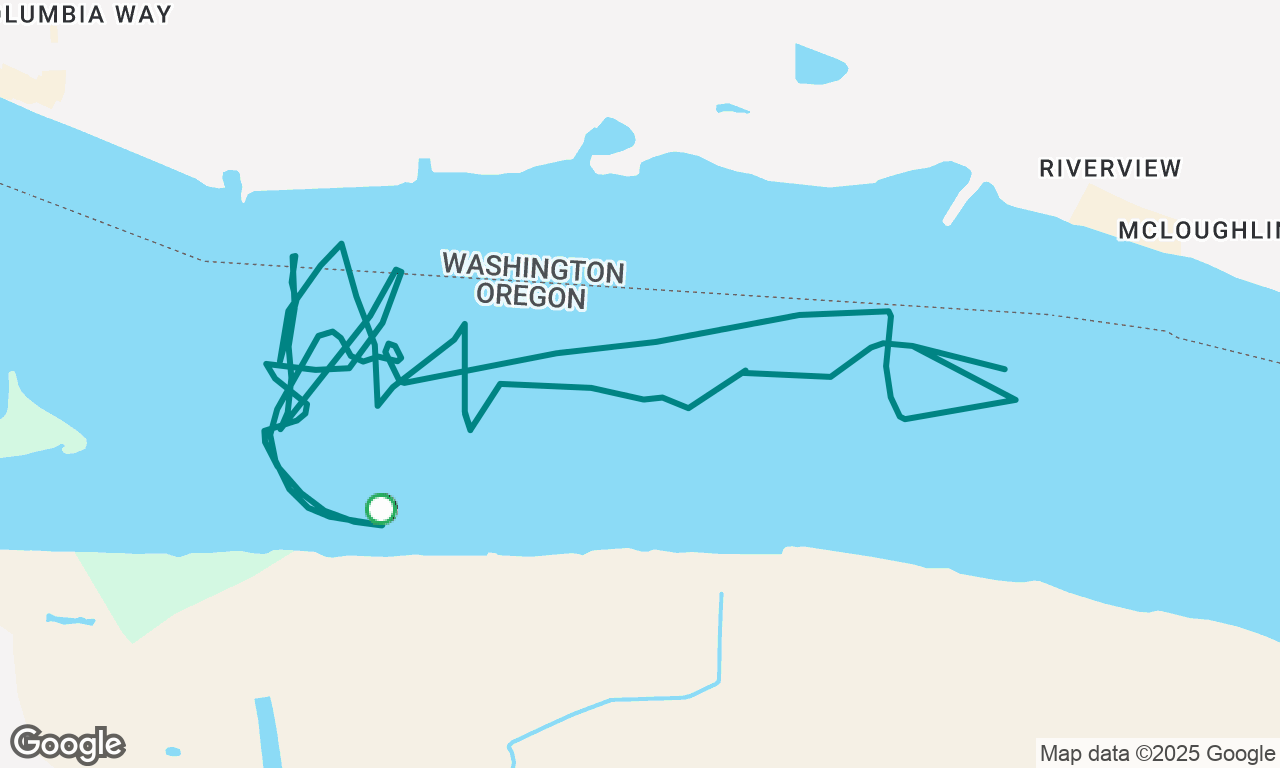 Calypte afternoon sail