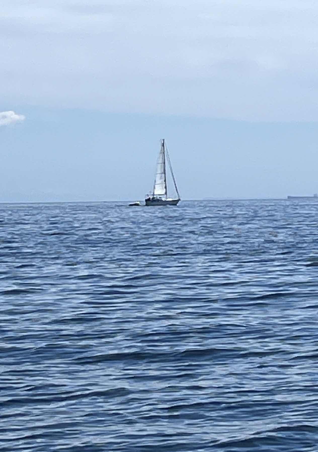 Orientation Cruise 1_FF2ADD34-3B83-46BF-90B5-7BA8FE3F06A8