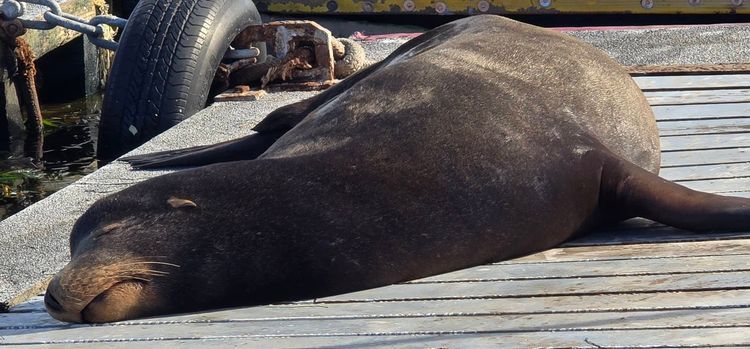 Voyage photo from sp2 with Bret on 699