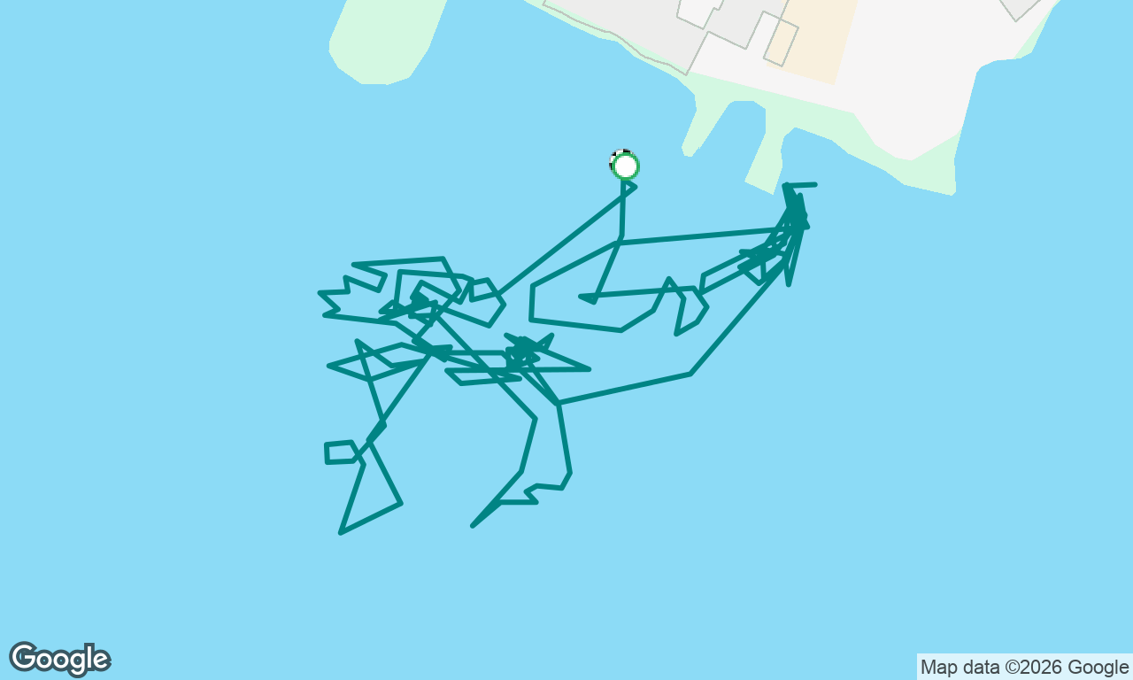 Élémentaire J2 manœuvres à quai