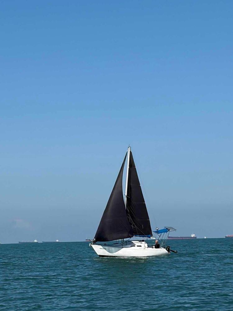 Voyage photo from Travessia ilha dos arvoredos