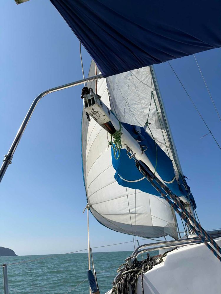 Voyage photo from Travessia ilha dos arvoredos