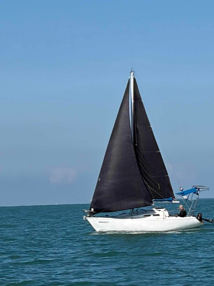 Voyage photo from Travessia ilha dos arvoredos
