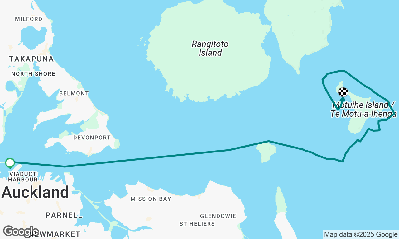 Auckland bay cruise race