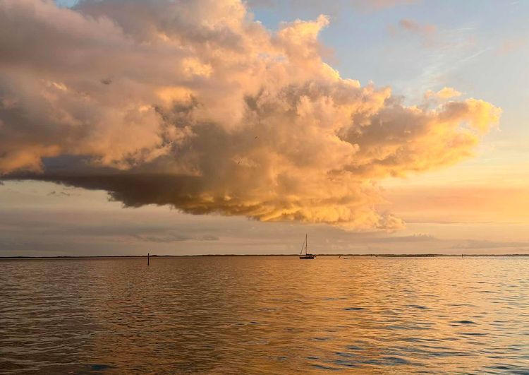 Voyage photo from Through the cut….