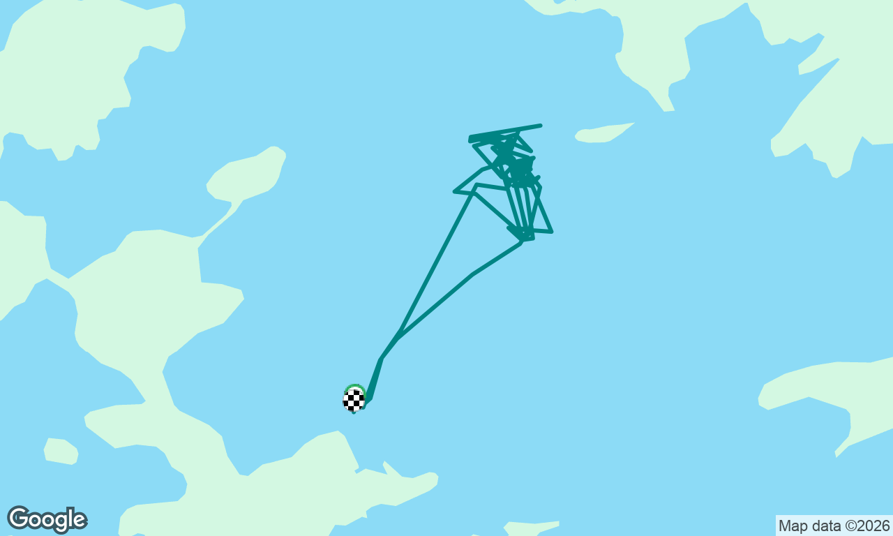 Regatta