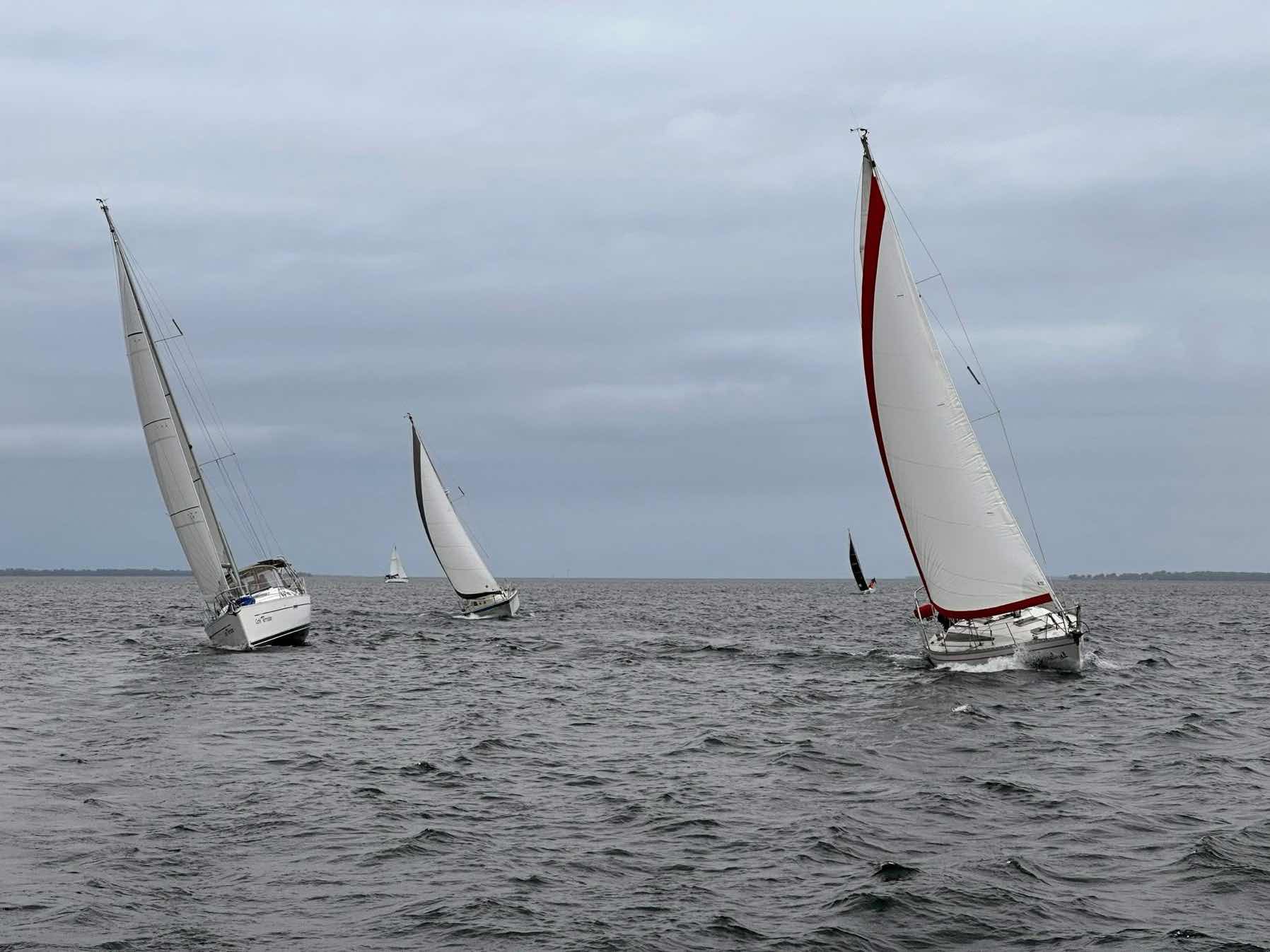 Course CVSF #1_AEED1F8A-3441-4967-AC50-6B9E7DE6DF3E