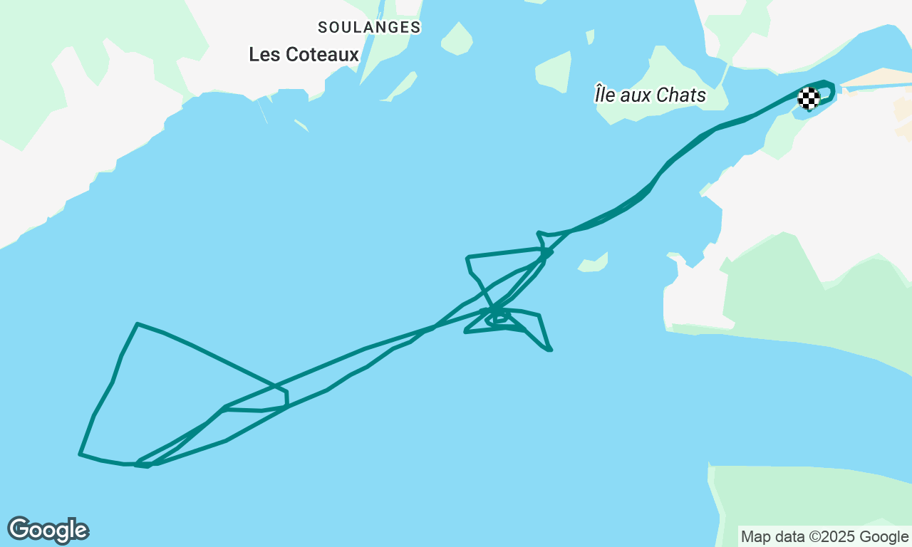 Course CVSF #1