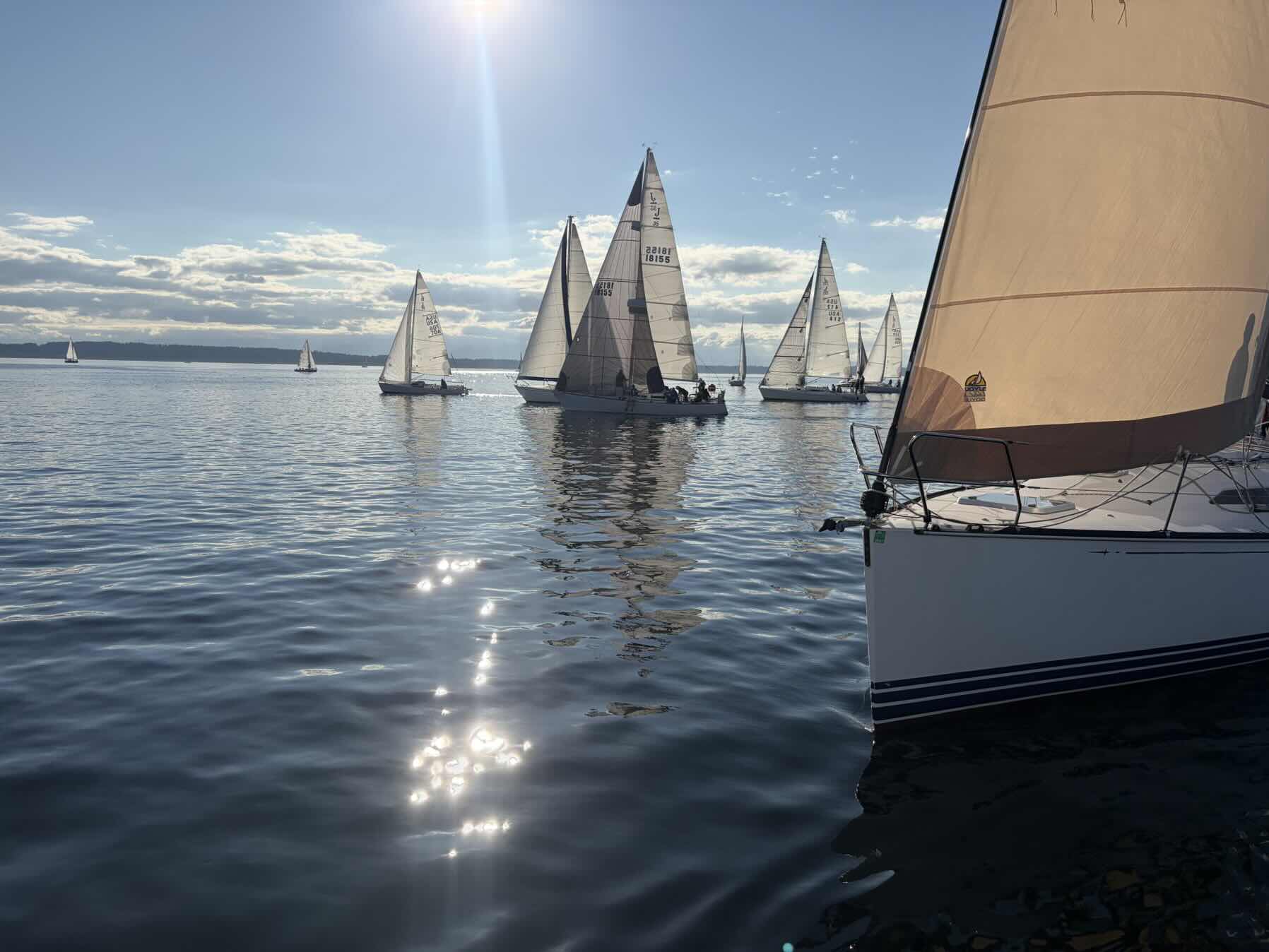 Sailfest_2DB72C3B-85AE-4376-AB57-7C582052D39B