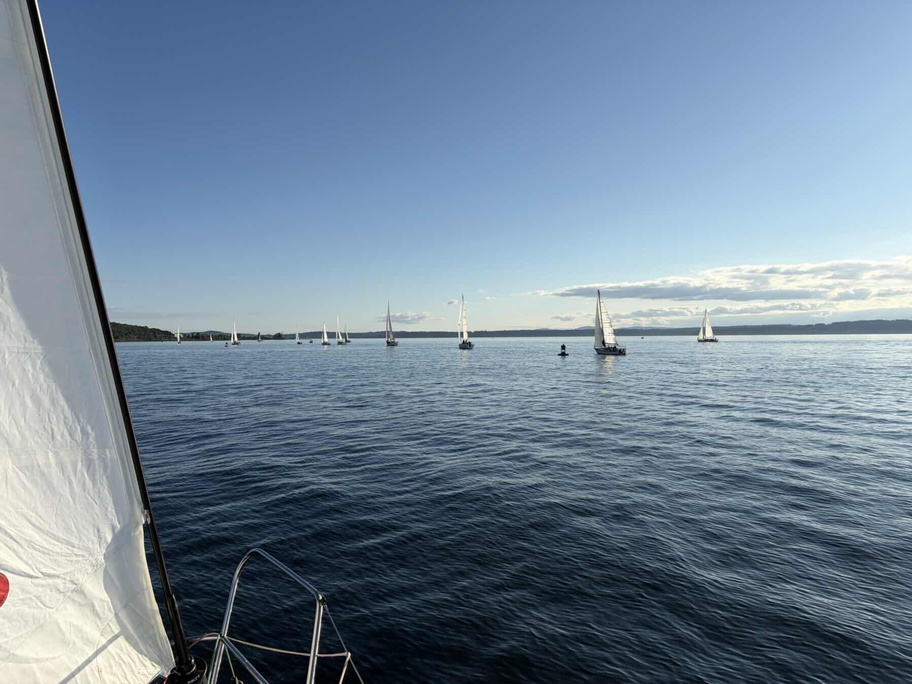 Sailfest_872D0C04-8697-44D3-A202-846A79D67388