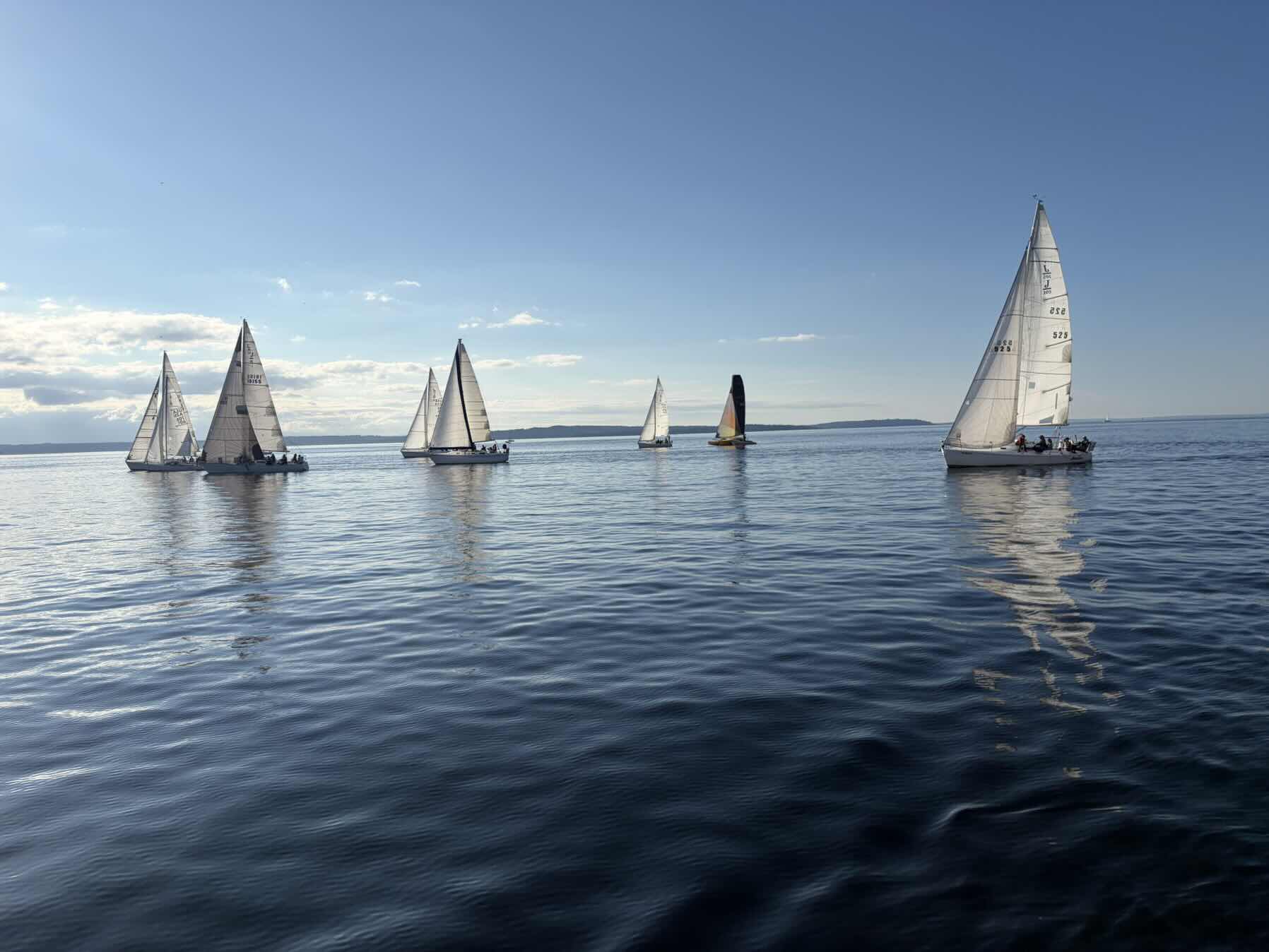Sailfest_9451B354-686D-480C-8AE9-DC4A9220D97A