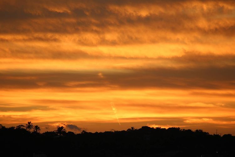 Voyage photo from Returning to Salvador