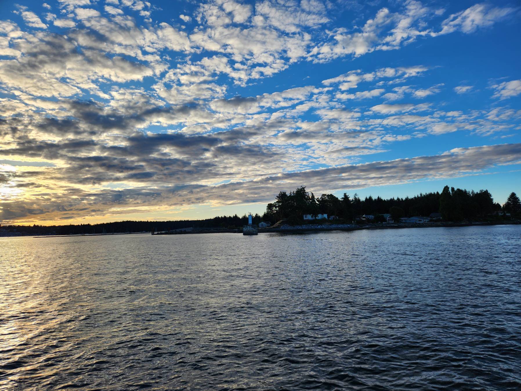 Thursday Night Sail_F288D69A-A007-43DA-979D-8E994546C642