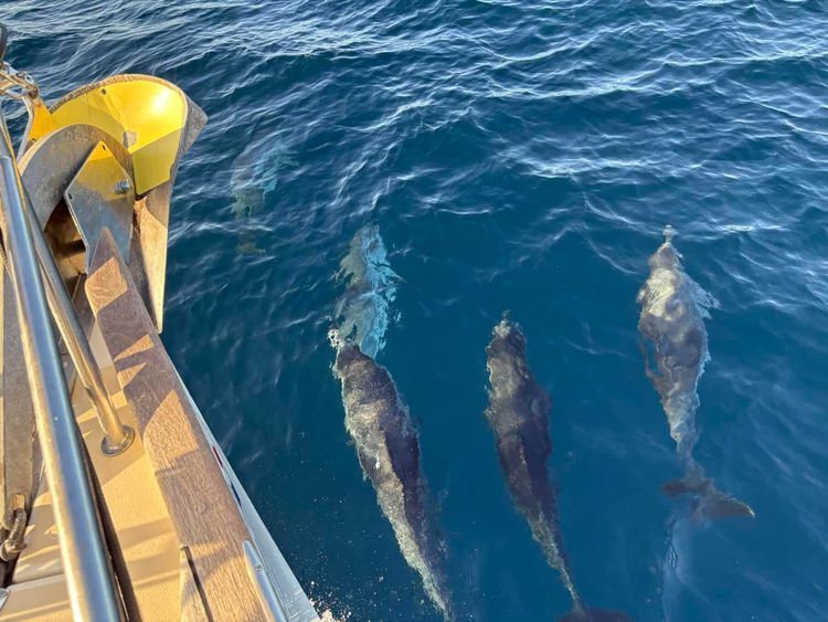 Voyage photo from Las Palmas to Mindelo, Cape Verde