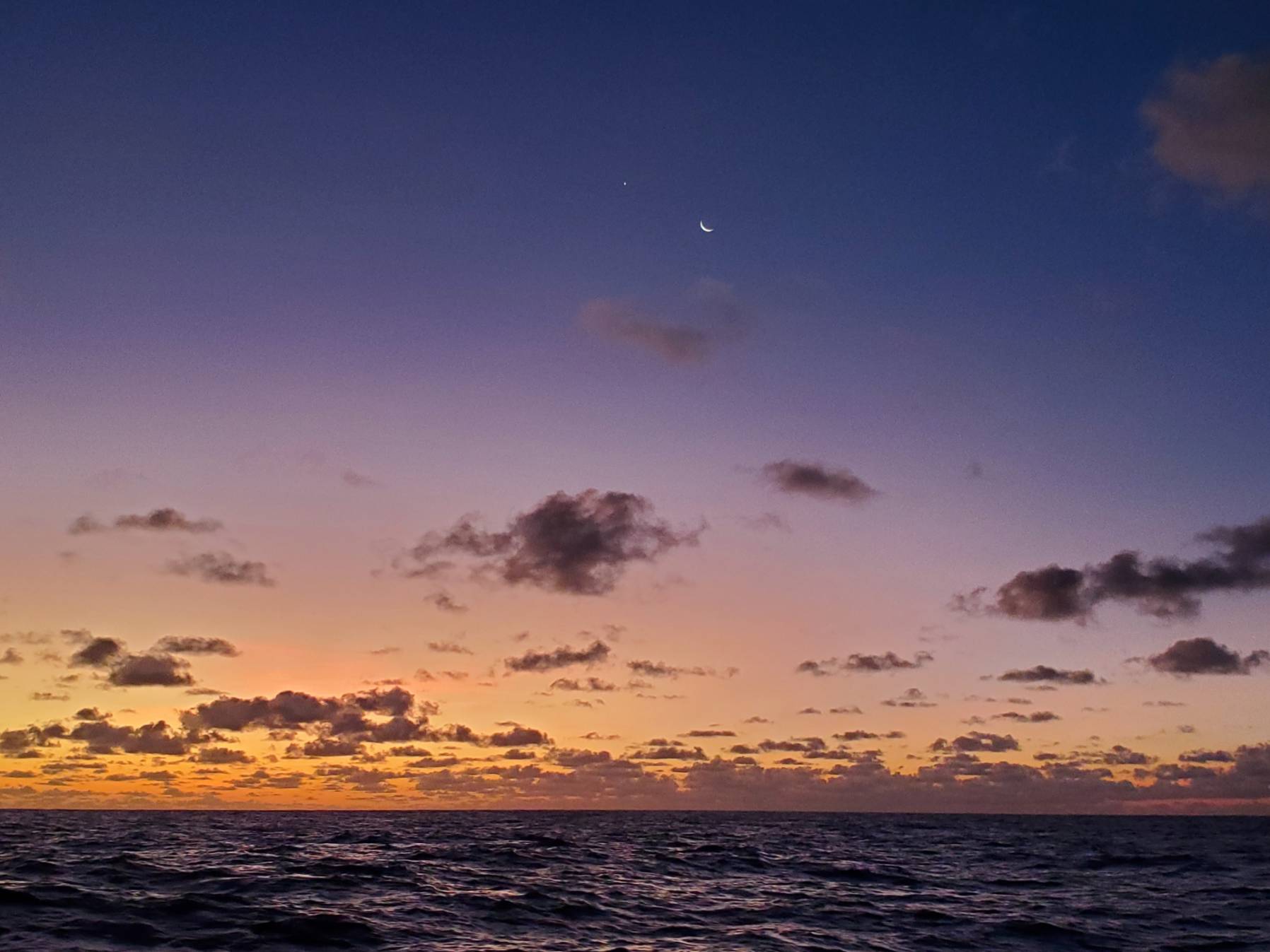 Nuku Hiva-Raroia, Tuamotus _75688AB8-E835-4B7A-AF47-9B4E35446C18