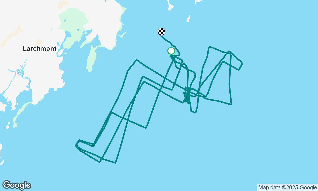 AYC Races - Day 4 - More coastal regatta