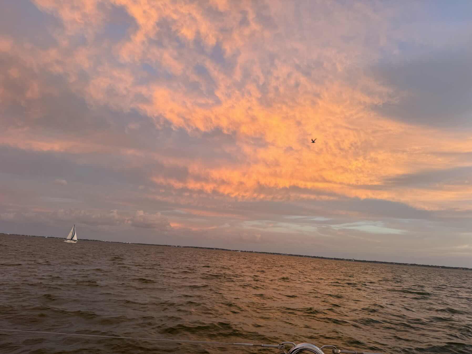SCA VET/FR Sunset Sail_AA42AC33-8772-4750-8A90-43ACA5CC362E