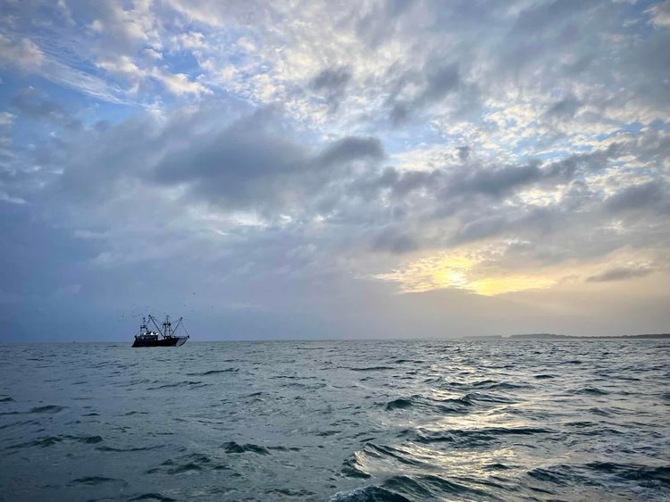 Voyage photo from KV2 - day 3