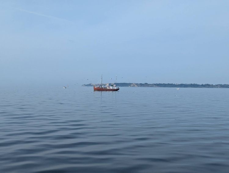 Voyage photo from Denmark 26: to Helsingborg