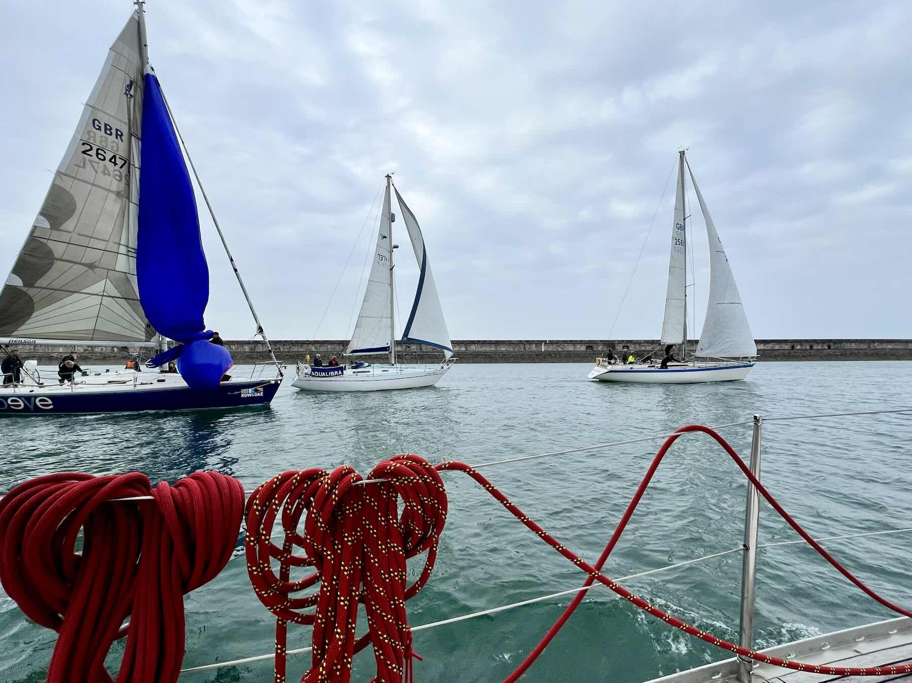 2025-07-23 Wednesday Evening Race _3F2CF2D2-BB12-41B4-9AF3-45CB7CD12D9D