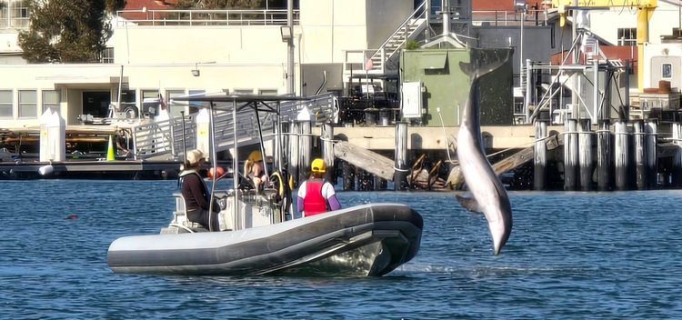 Voyage photo from sp5 with Jewels on 699