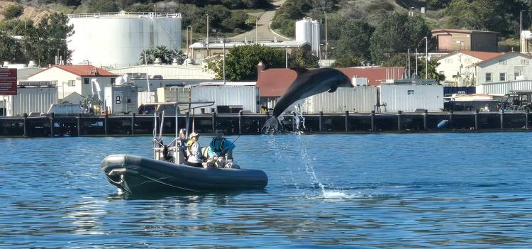 Voyage photo from sp2 with Jewels on 663