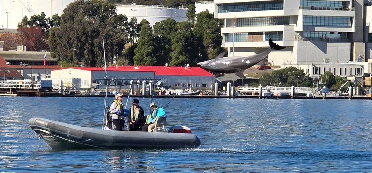 Voyage photo from sp2 with Jewels on 663