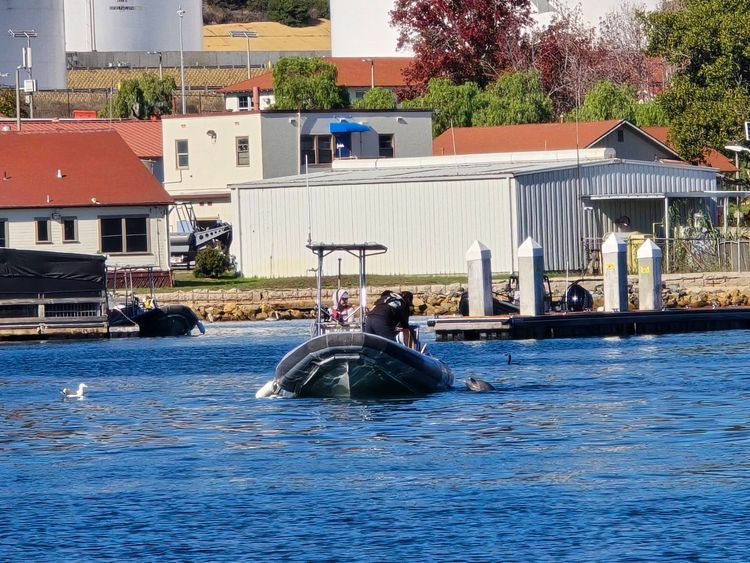 Voyage photo from sp2 with Jewels on 663