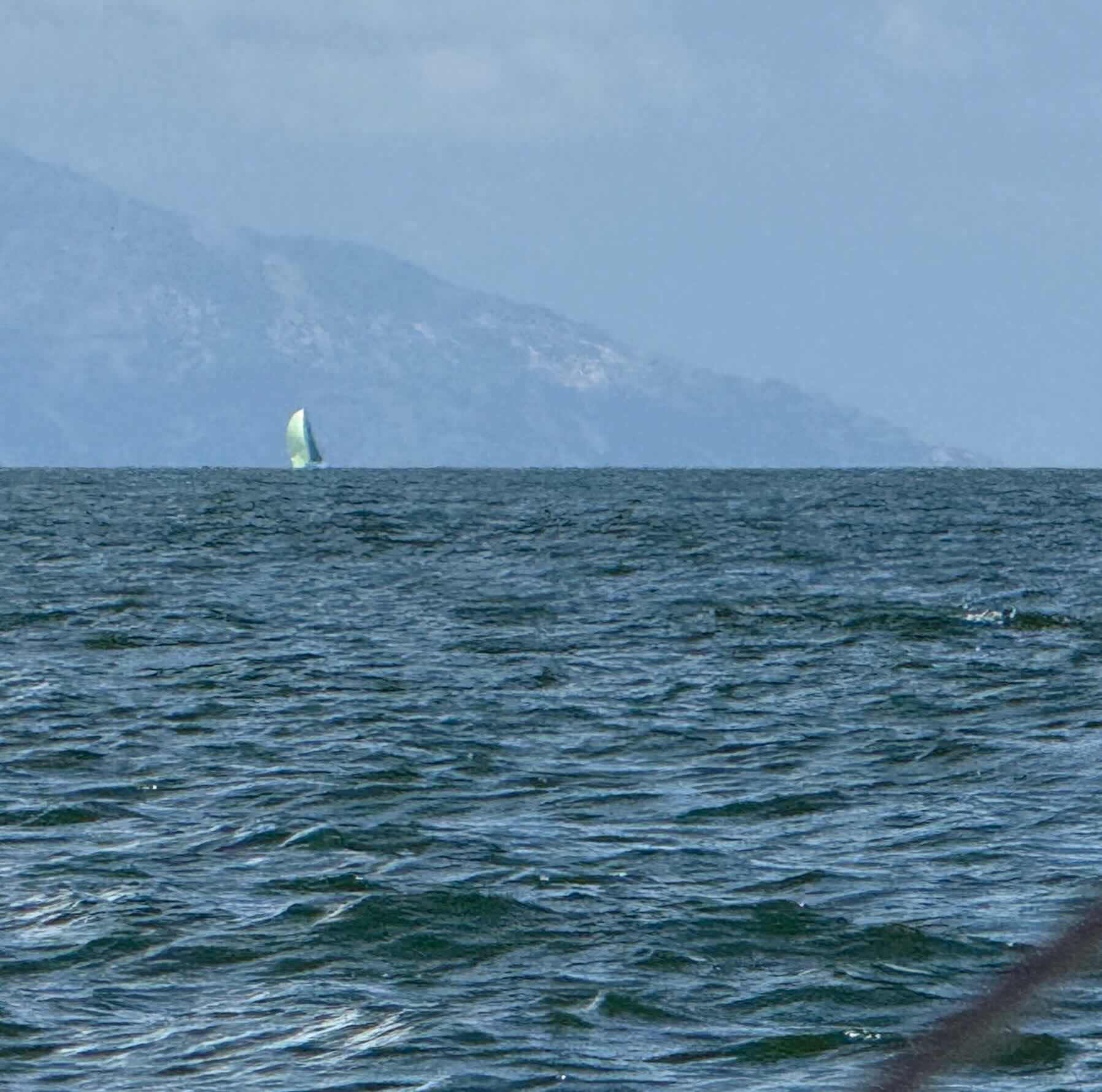 Sail to Soko_73289B44-CE4D-4676-9D3D-8C9BFF60D259