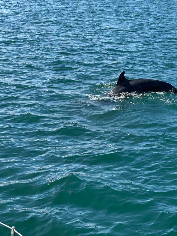 Voyage photo from Dún Laoghaire to Peel