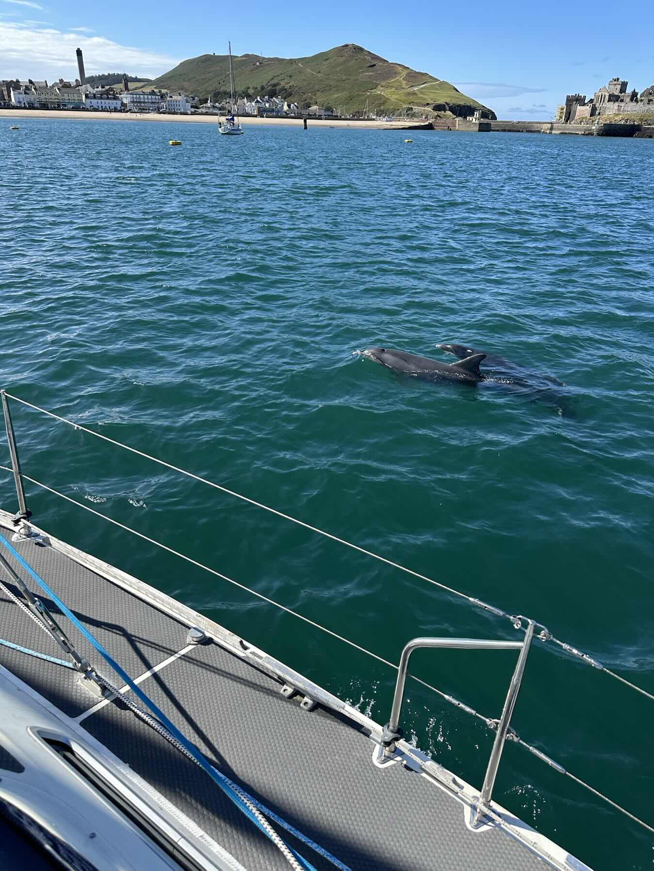 Wales, Ireland, Isle of Scilly and Cornwall 2025_B464061D-1FA8-4167-9380-6DBCF5C5D6E5