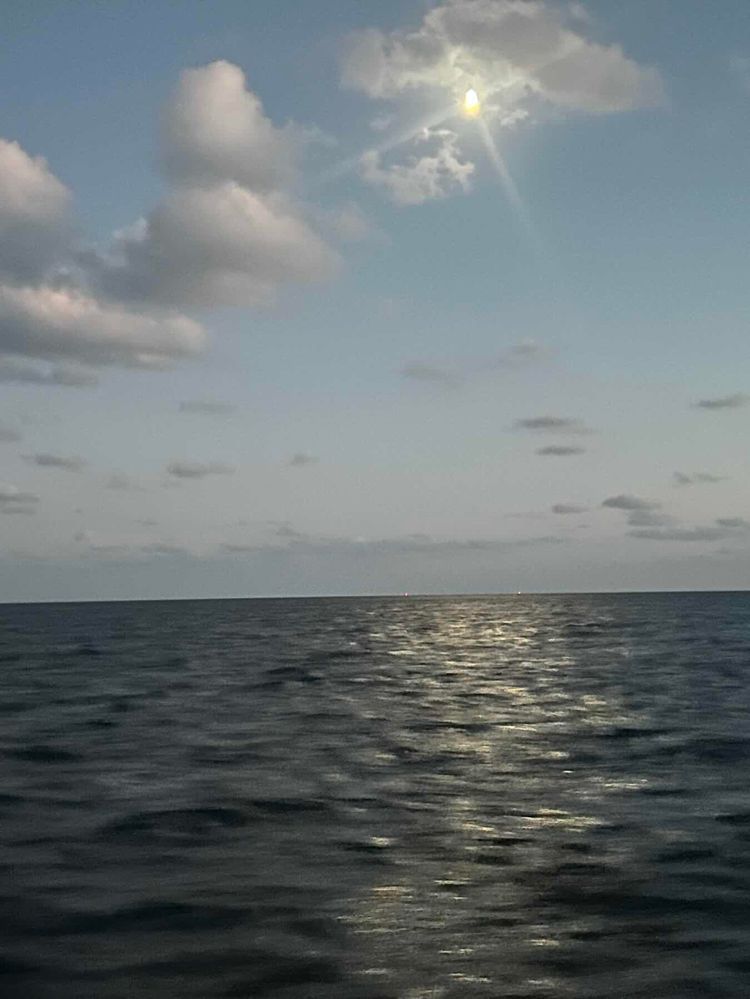 Voyage photo from Final leg of delivery voyage of the Rogue Trader