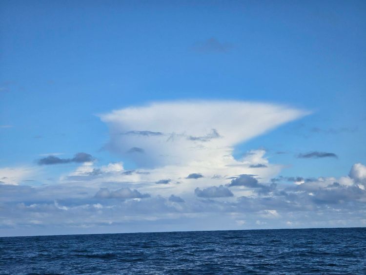 Voyage photo from Final leg of delivery voyage of the Rogue Trader