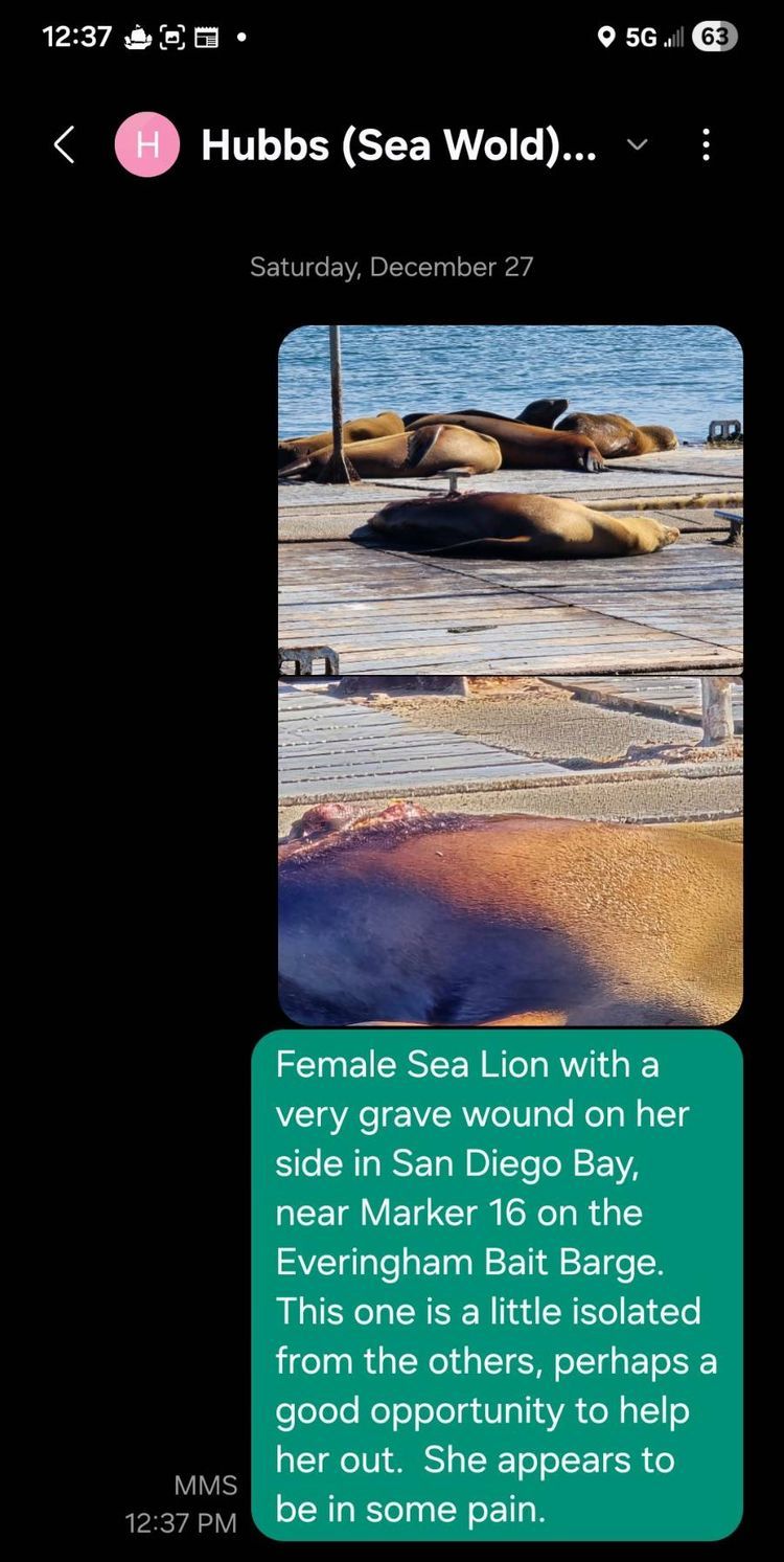 Voyage photo from sp5 with Jewels on 648