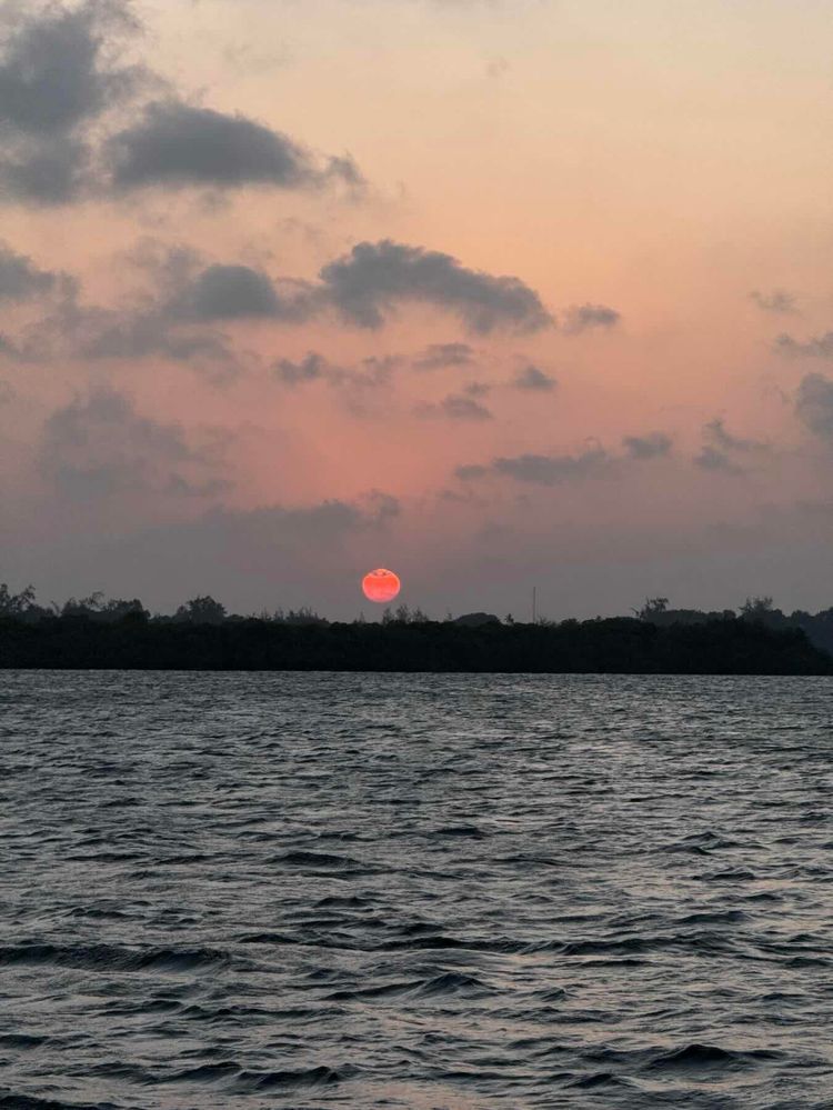Voyage photo from Lamu Fam Sail