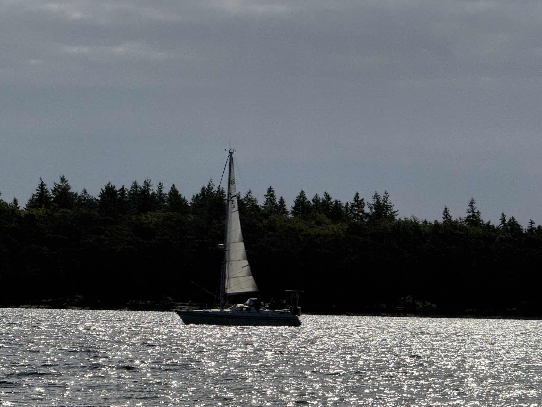 from Wiek to Stralsund _0F4A4005-0D48-4EB6-B7E2-DBB9DEB2D662