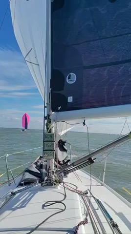 Cowes - Poole JOG race_0C3B2E23-CC25-4AF4-ABE8-C1239CA3E426