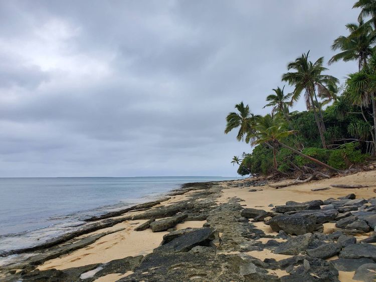 Voyage photo from Tofanga Island - Pangai, Ha'apai Tonga