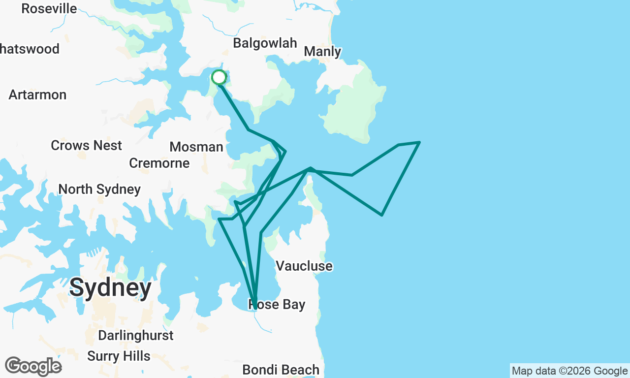 Whale Watching