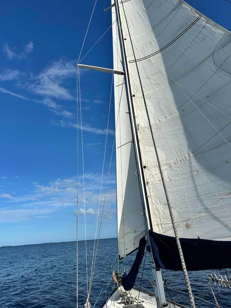 Voyage photo from Off to bug island 