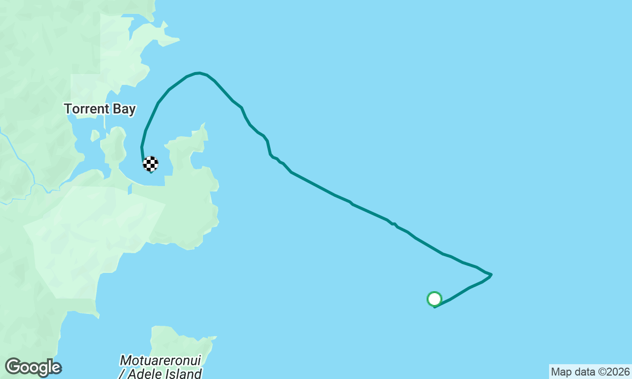 Nelson to Anchorage 