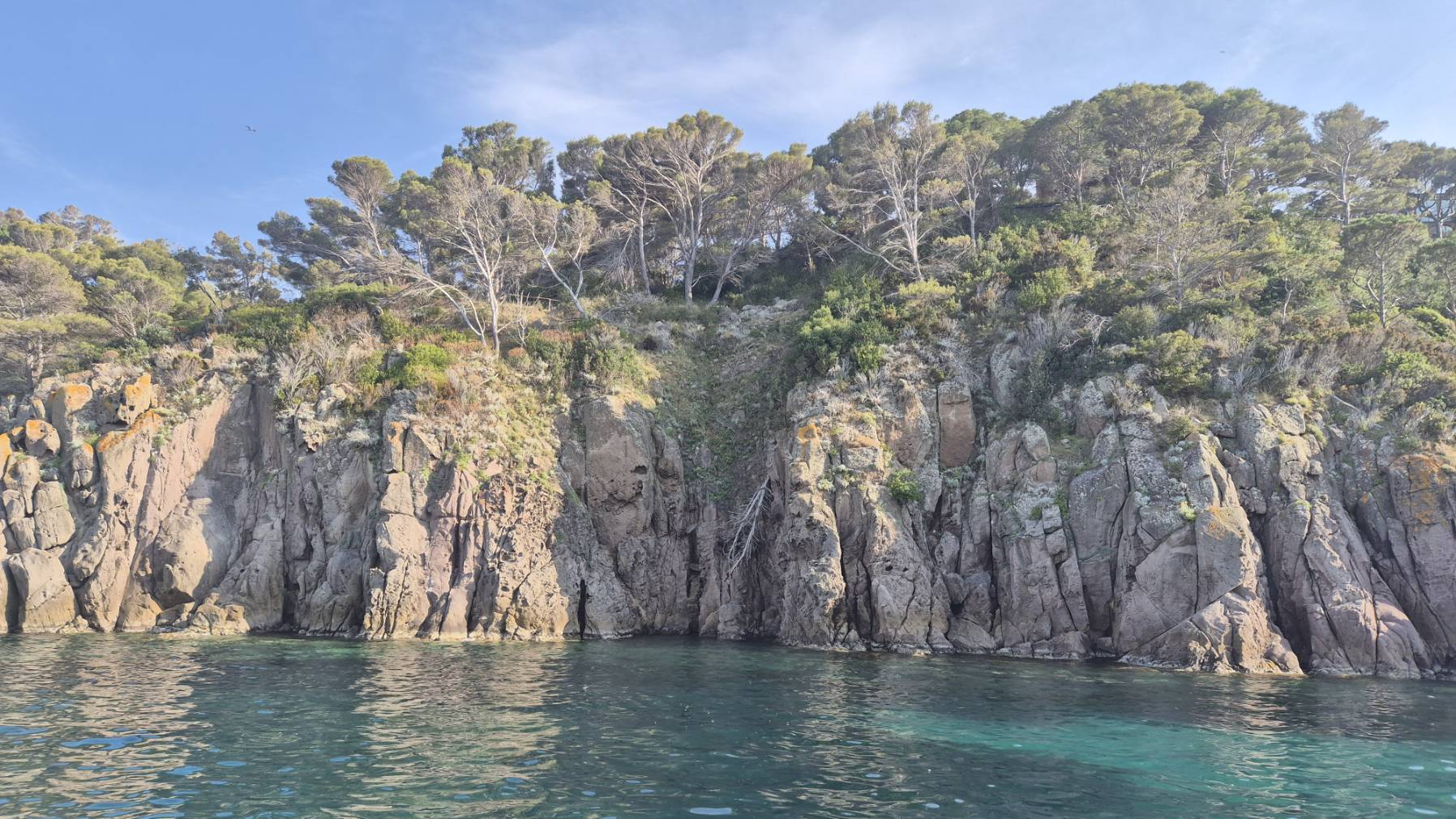 Baratti to Capraia_CE9BF363-D691-47F7-81DB-F2A1BA03AC67