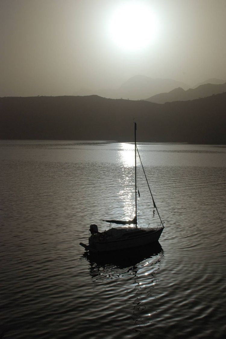 Voyage photo from Mussandam Magic