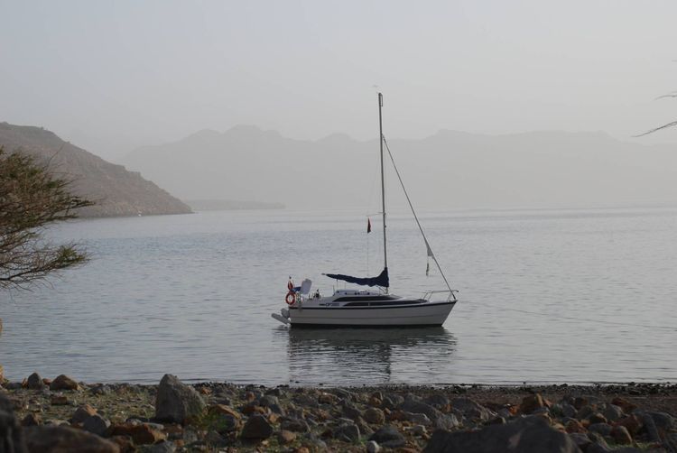 Voyage photo from Mussandam Magic