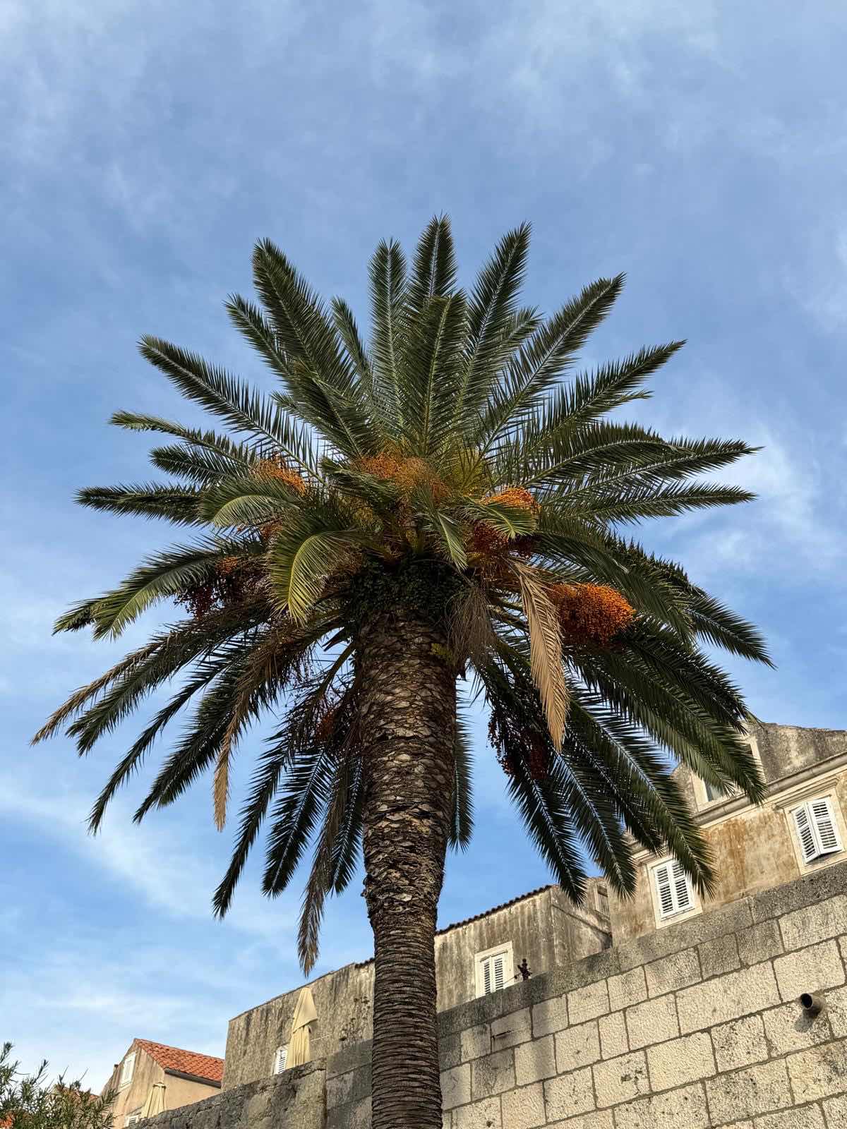 Palagruza fake. Day 2. Part 2. 🇭🇷⛵️🌊_756CA998-0B15-4E7A-AB71-5E28257929B1