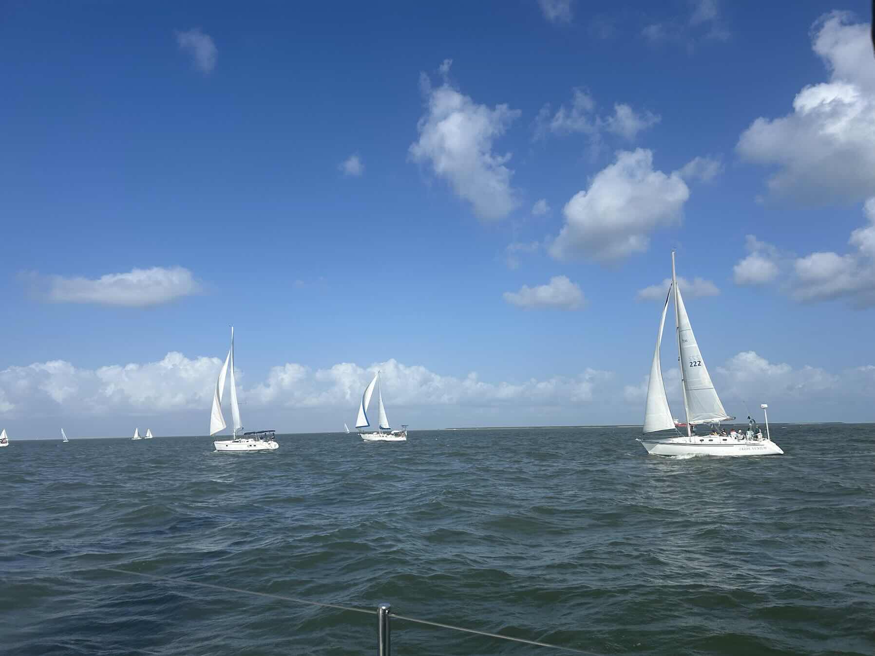 Rum Race #2_F304ECBB-44EC-488B-BB35-9B43C8A32F74