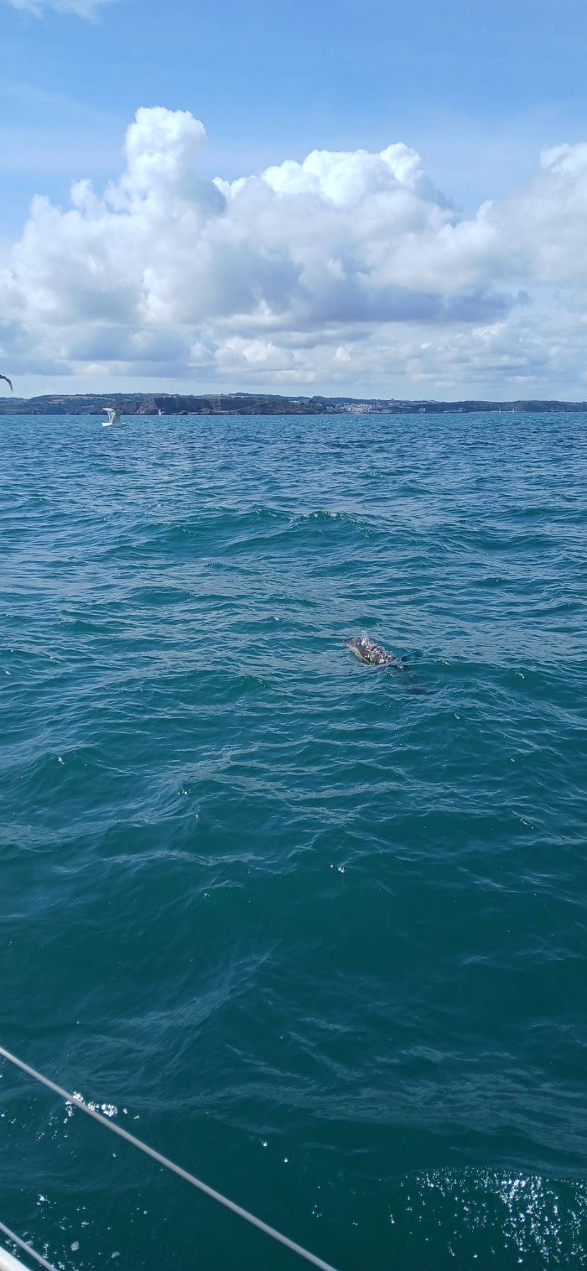 Brisk blustery sail to Salcombe_B106F6DE-BAA5-437B-A0AA-5D28C39FE733