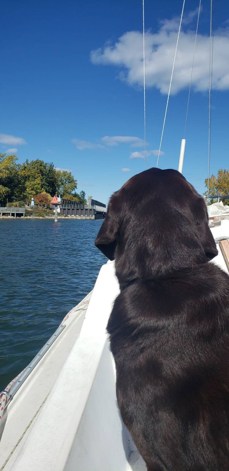 Voyage photo from Last Sail for year
